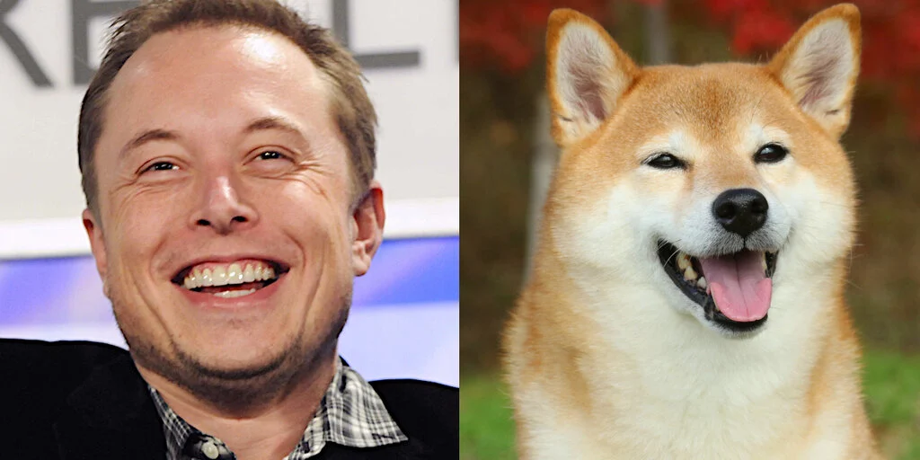 image preview(placeholder)