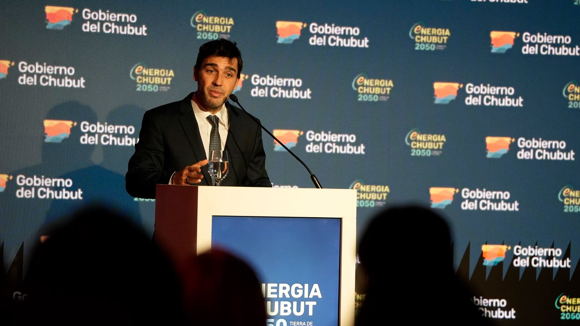 Renovación legislativa en la Patagonia: el papel de los gobernadores