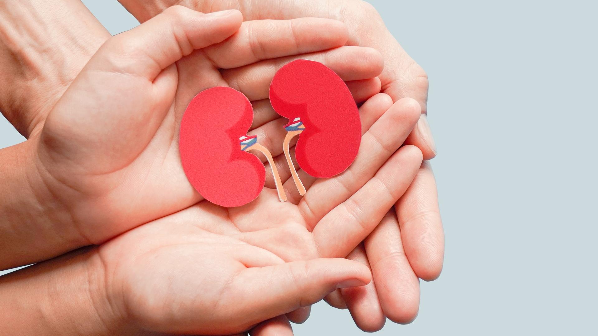 Enfermedad renal crónica: un mal silencioso que crece en todo el mundo