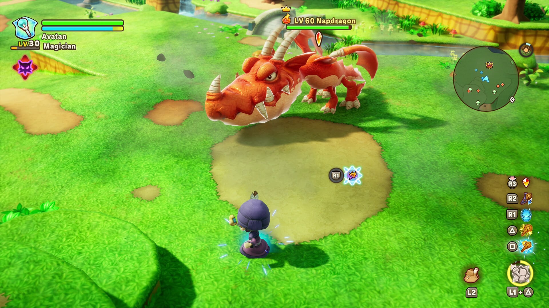 image preview(placeholder)