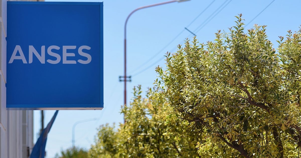 Calendario de pagos de ANSES para DNI terminado en 2: fechas, montos actualizados y bono de octubre