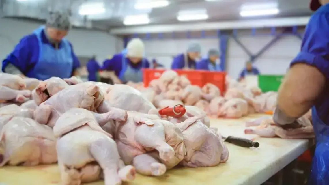 El pollo le ganó la pulseada a la carne vacuna y pasó a ser la carne más consumida en la Argentina