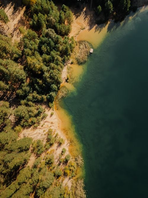 Una capillita de madera escondida entre los coihues del lago Lácar, testigo silenciosa de los que vivieron del bosque