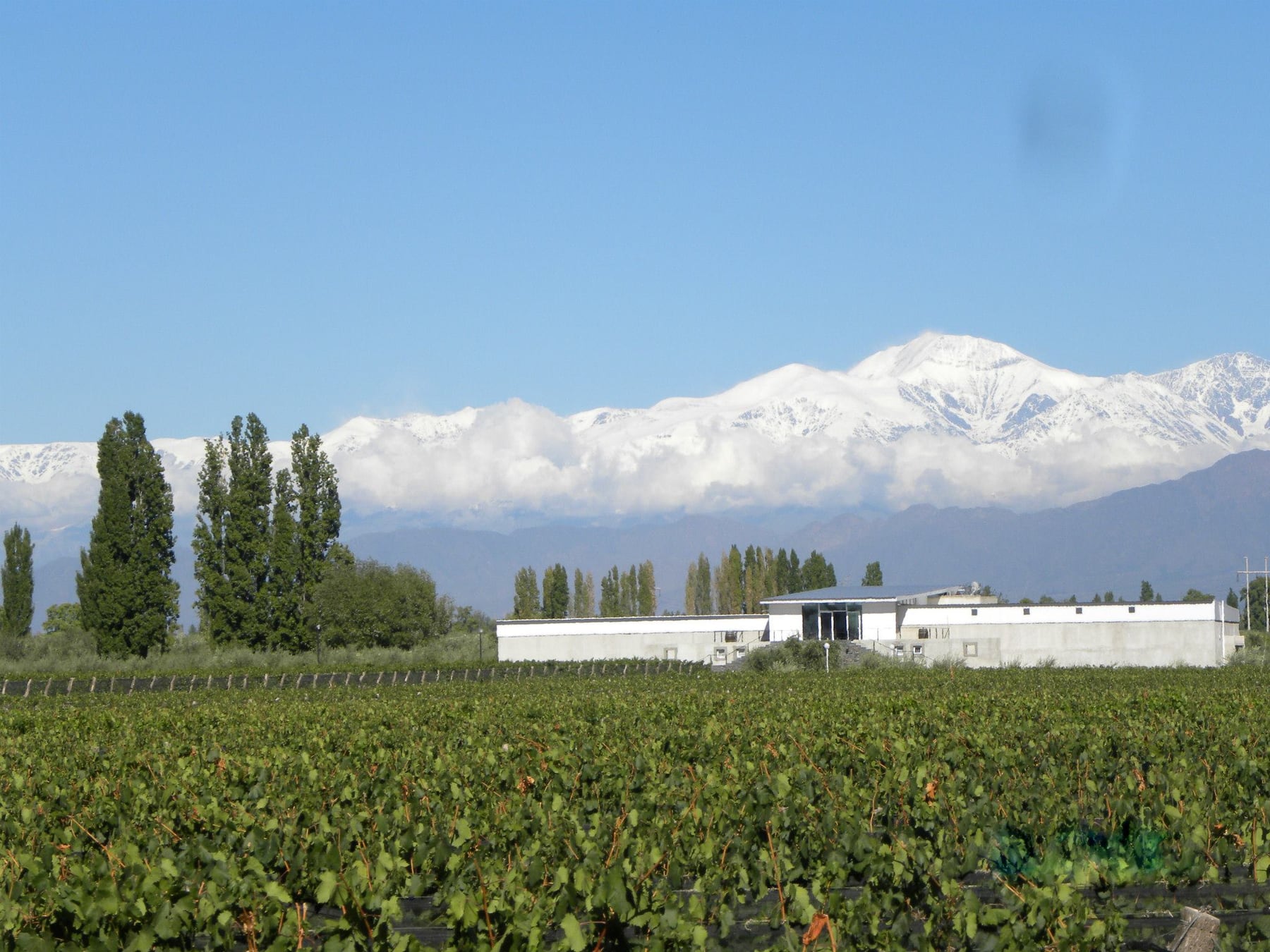 Chacras de Coria ya no es esa parada de paso: es el destino entero