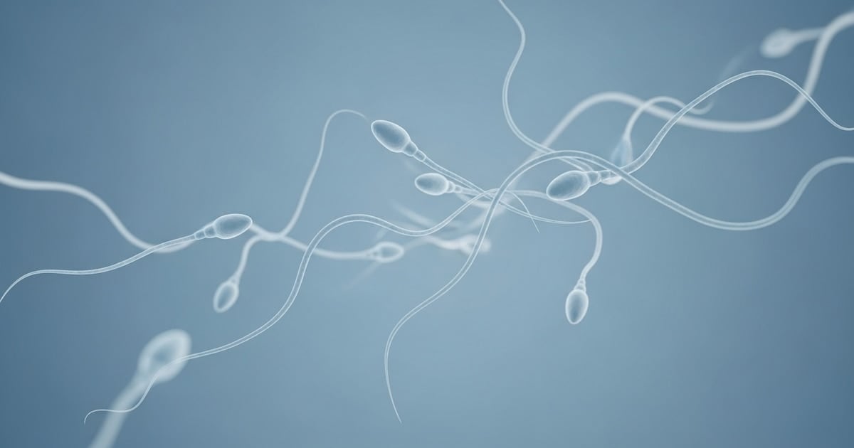 Un paciente británico de 19 años, sometido a un autotrasplante de tejido testicular congelado, se convierte en la esperanza más reciente de la medicina reproductiva
