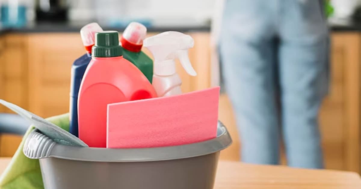 ARCA implementa un sistema asistido para liquidar los haberes del personal de casas particulares