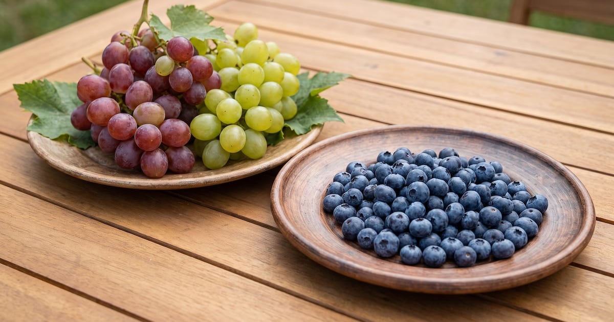 Arándanos o uvas: la pulseada que muchas familias argentinas miran de cerca cada vez que suena el glucómetro