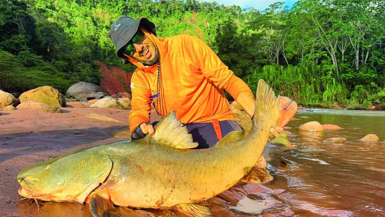Pesca deportiva con devolución en la Amazonía boliviana: quince especies, peces de hasta 25 kilos y cinco días de campamento sobre el río