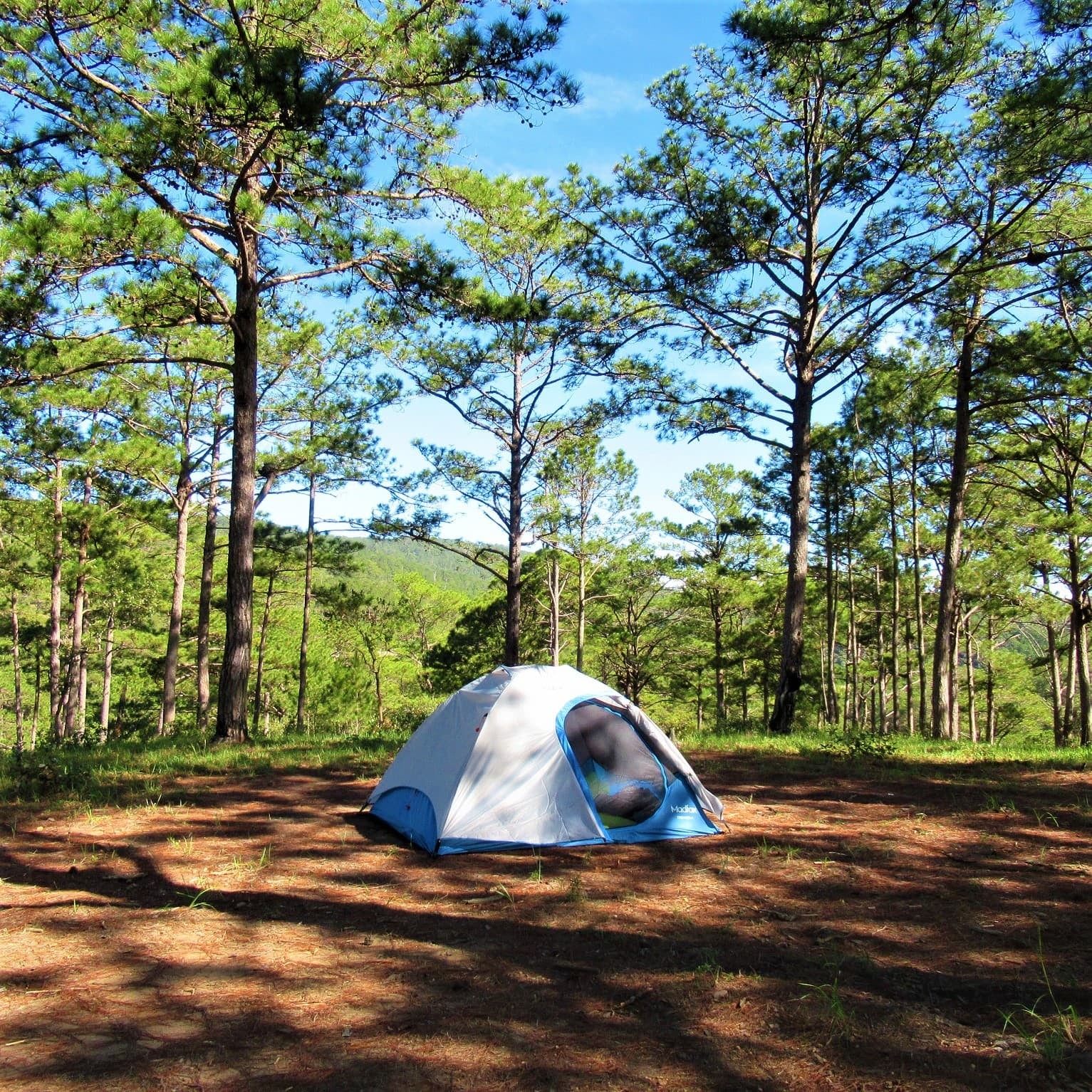 Huttopia llegará a Mar Azul con un camping de 55 hectáreas y 240 parcelas