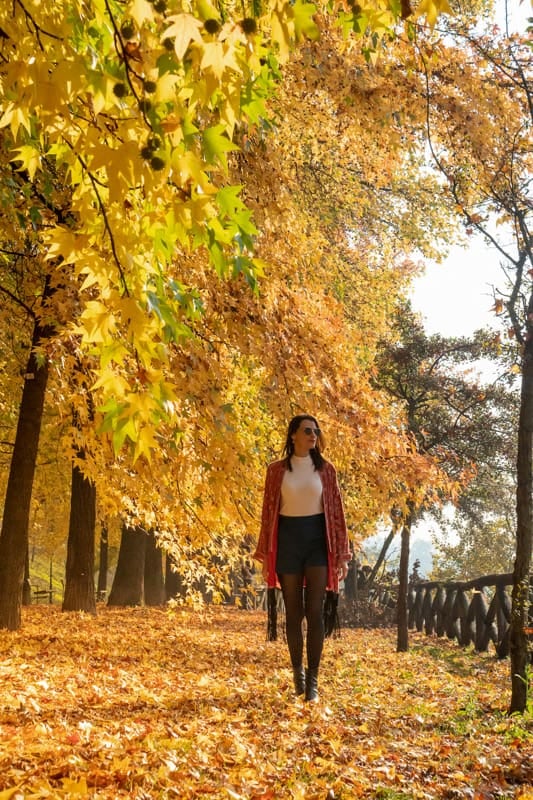 Otoño en Europa: doce capitales para analisar sin filas ni apuro