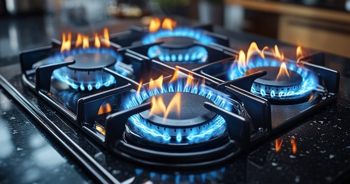 El Gobierno reduce la cobertura del subsidio al gas y alcanza a 3,35 millones de hogares